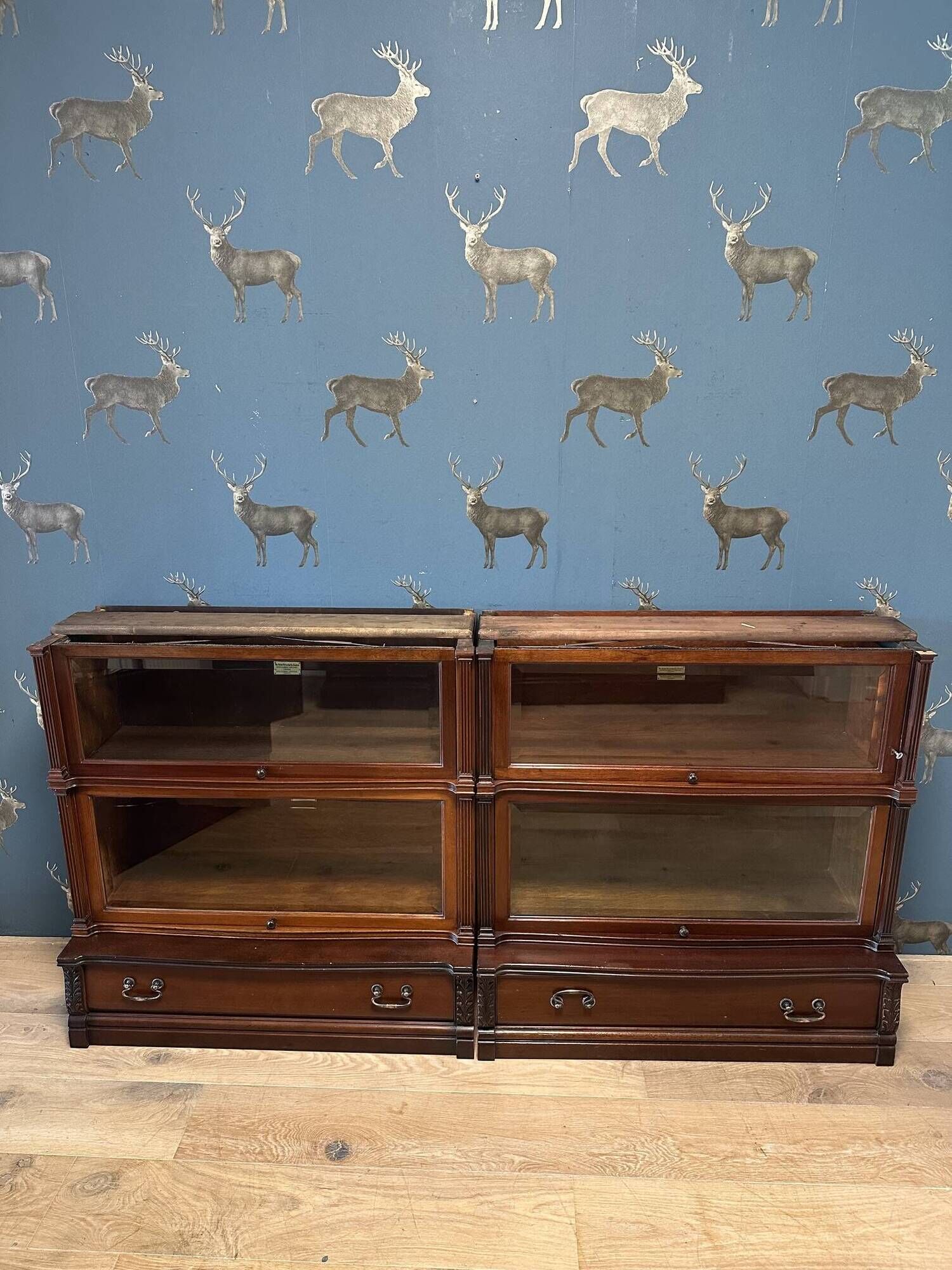 Special Globe Wernicke Bookcase