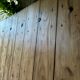 Large old barn door – 18th century – fully restored – 177 x 15