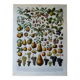 Lithographie originale sur les fruits