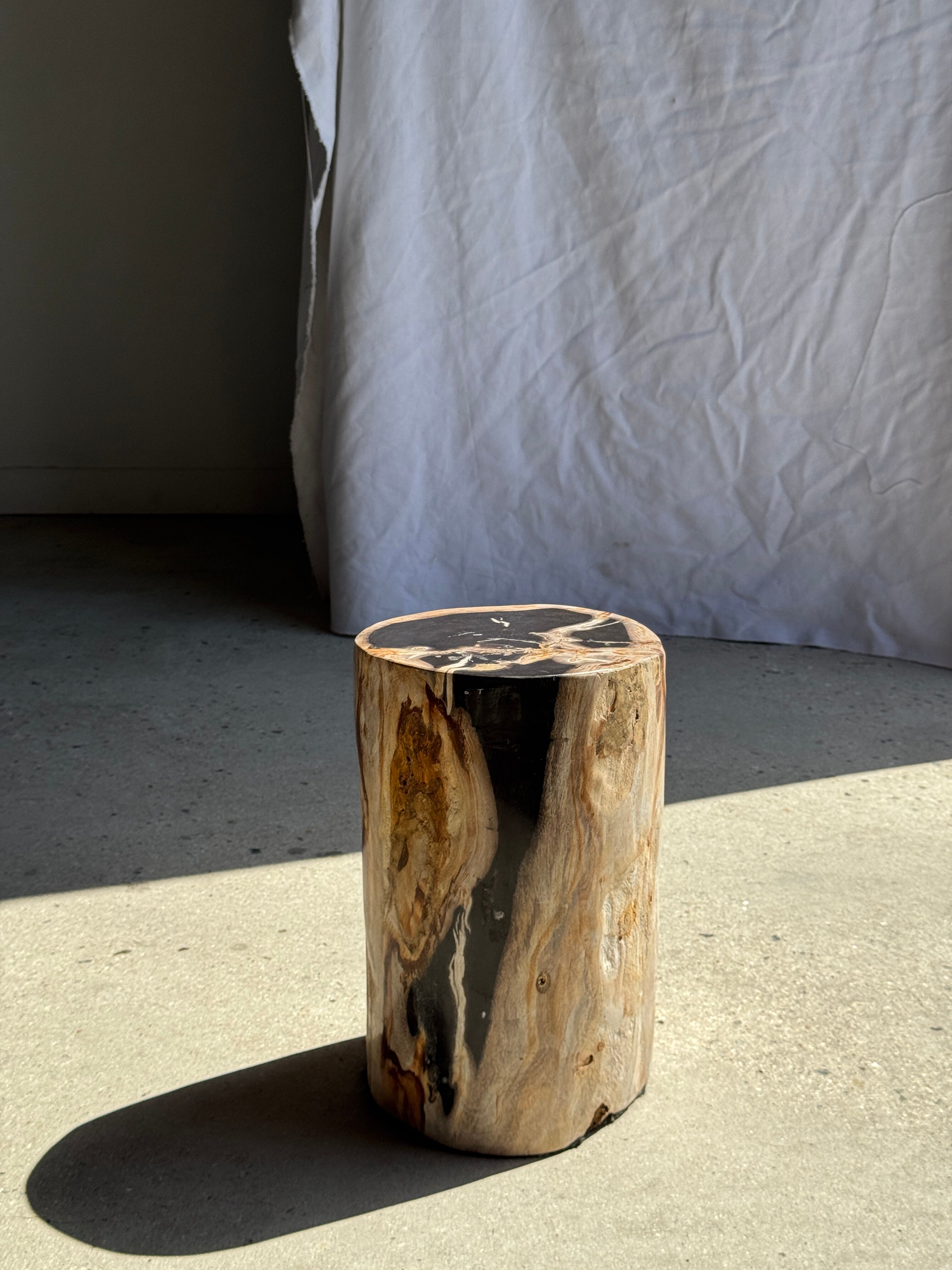 Petrified wood side table, black heart, beige bark, H35 D22 - 3330