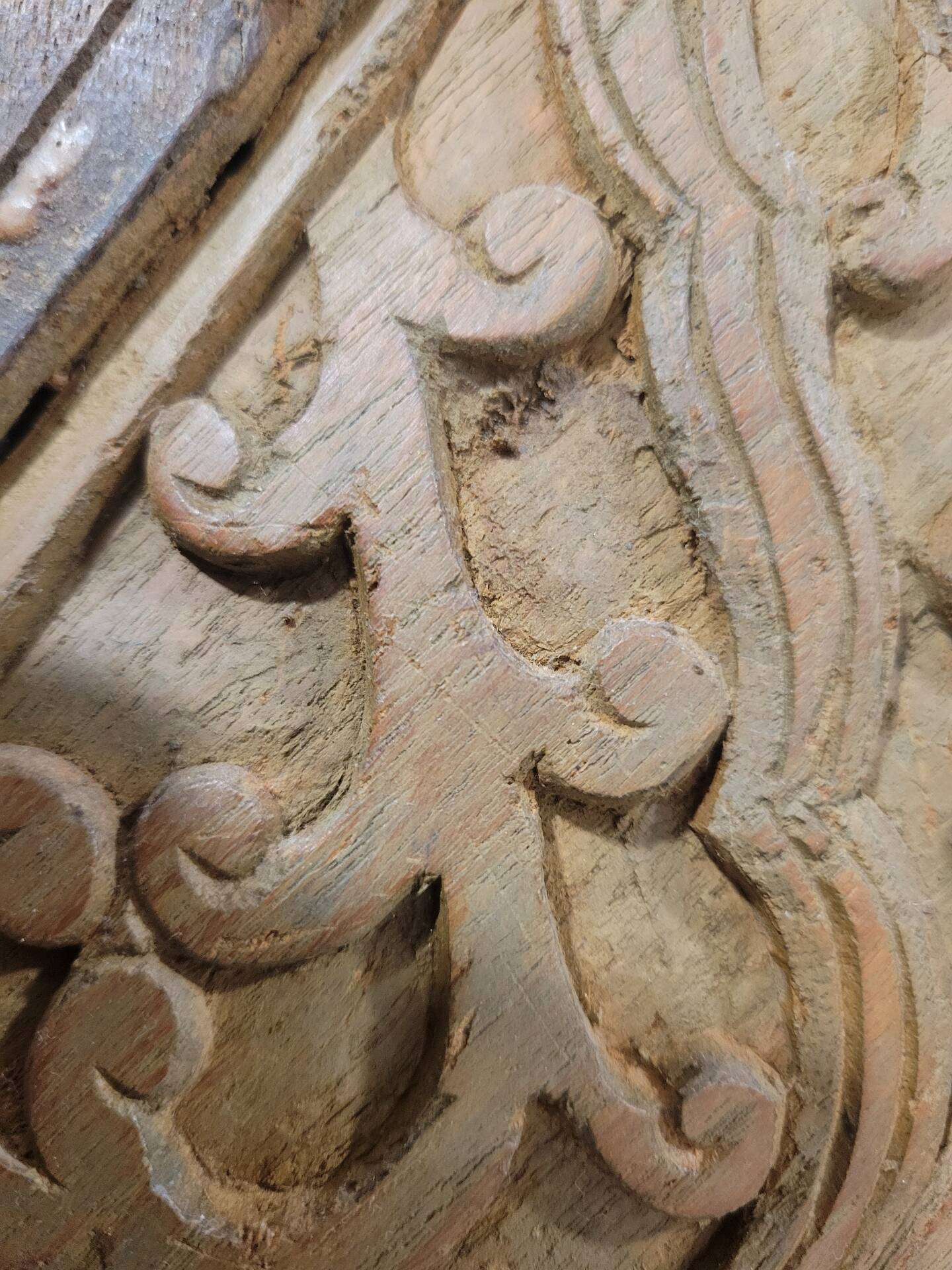 Carved wooden ceiling Curiosity cabinet 155×194cm