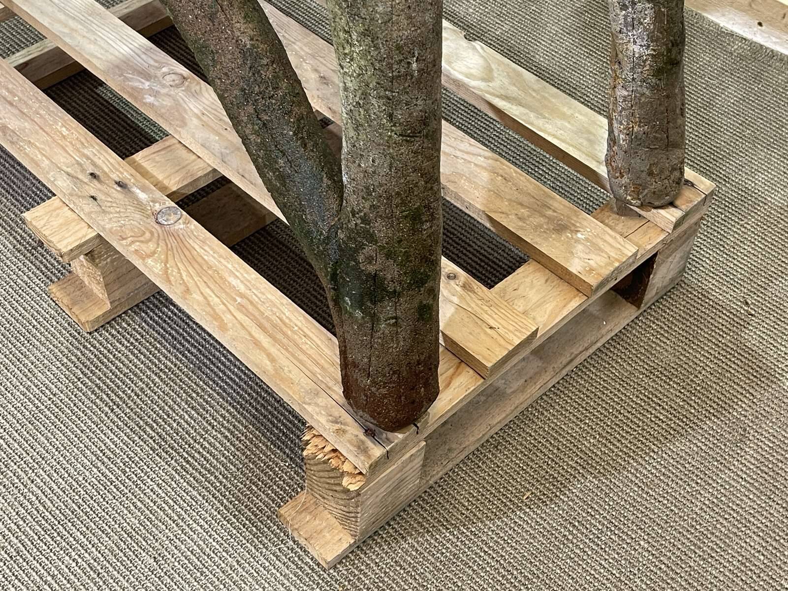 1950s faux wood cement planter, old water mill