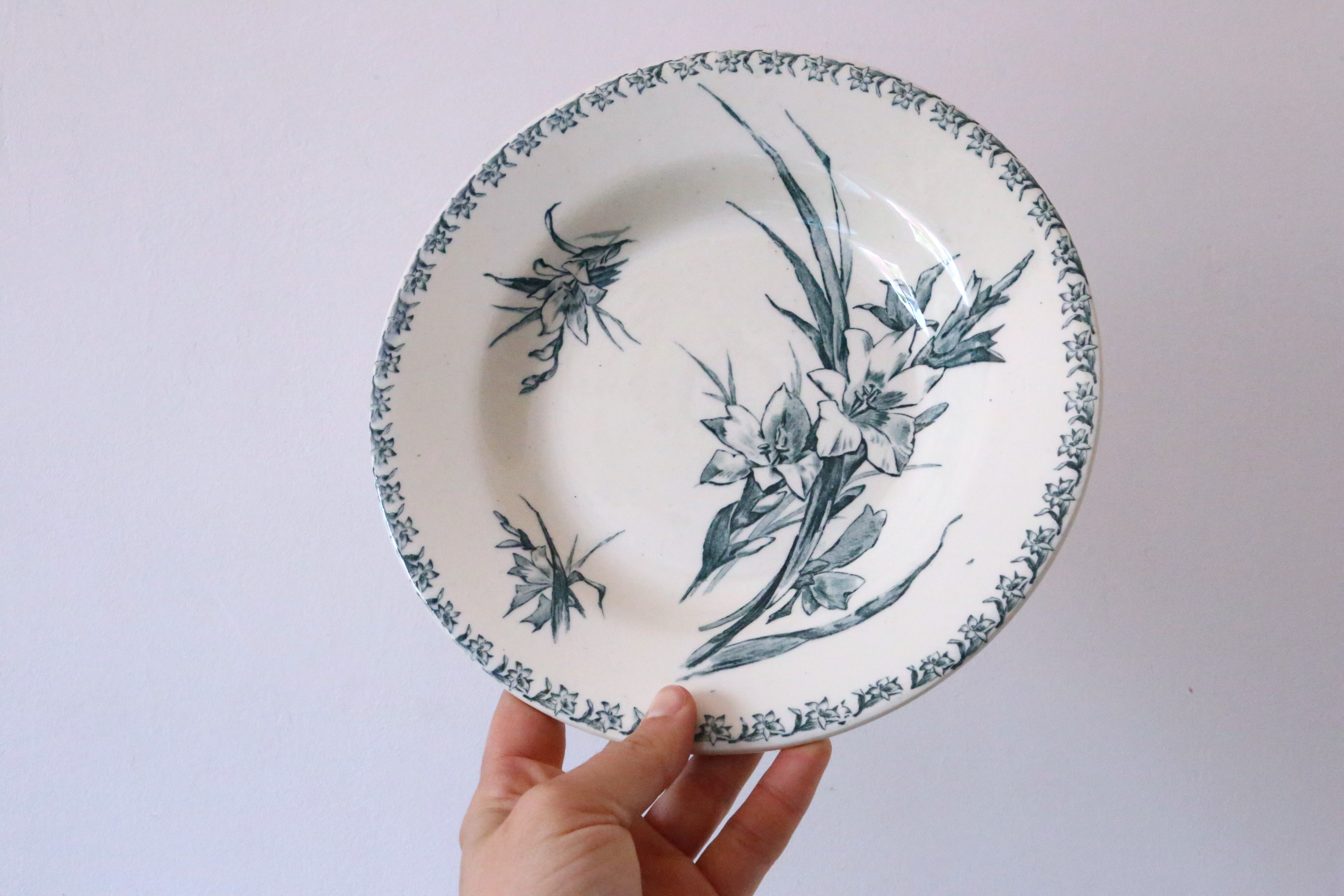 Hollow plates x5, Gien, Glaieul pattern, iron earth