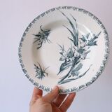 Hollow plates x5, Gien, Glaieul pattern, iron earth