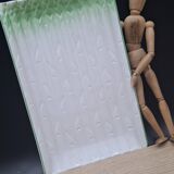 Asparagus dish Revol France