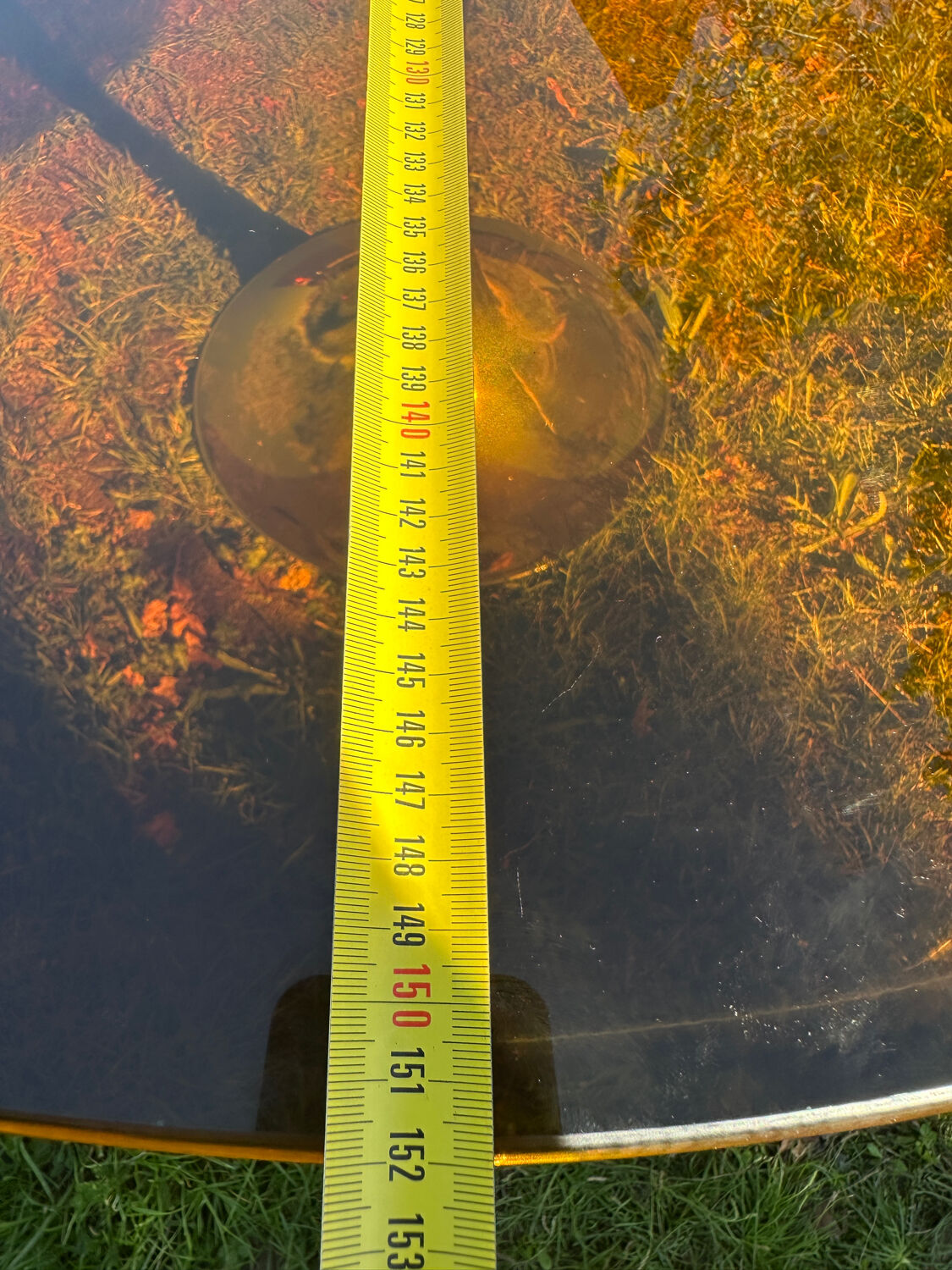 ORANGE smoked glass tulip foot table Gastone Rinaldi