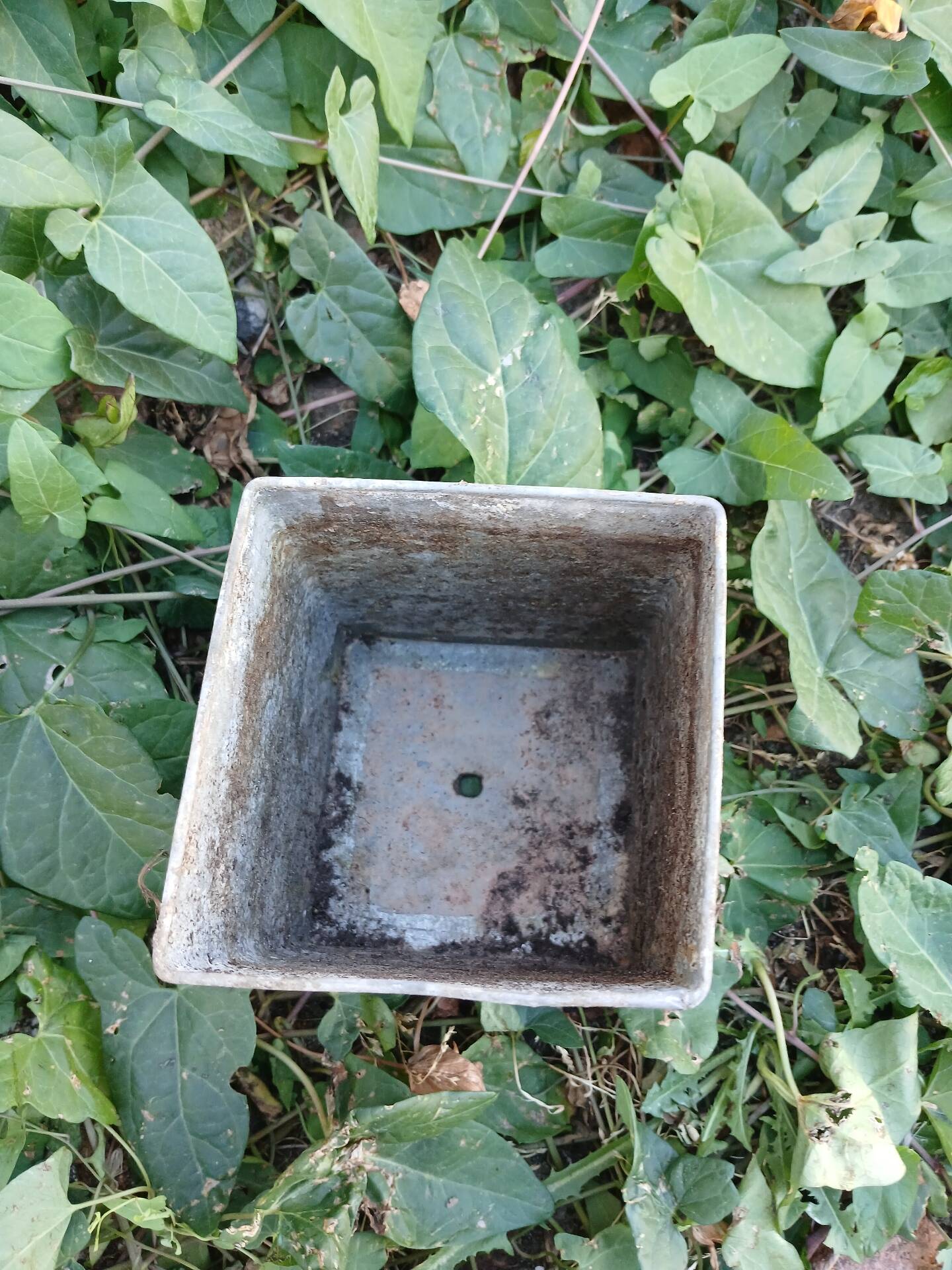 Wire mesh basket