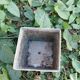Wire mesh basket