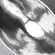 Polished Aluminum Contemporary Large Deep Bowl