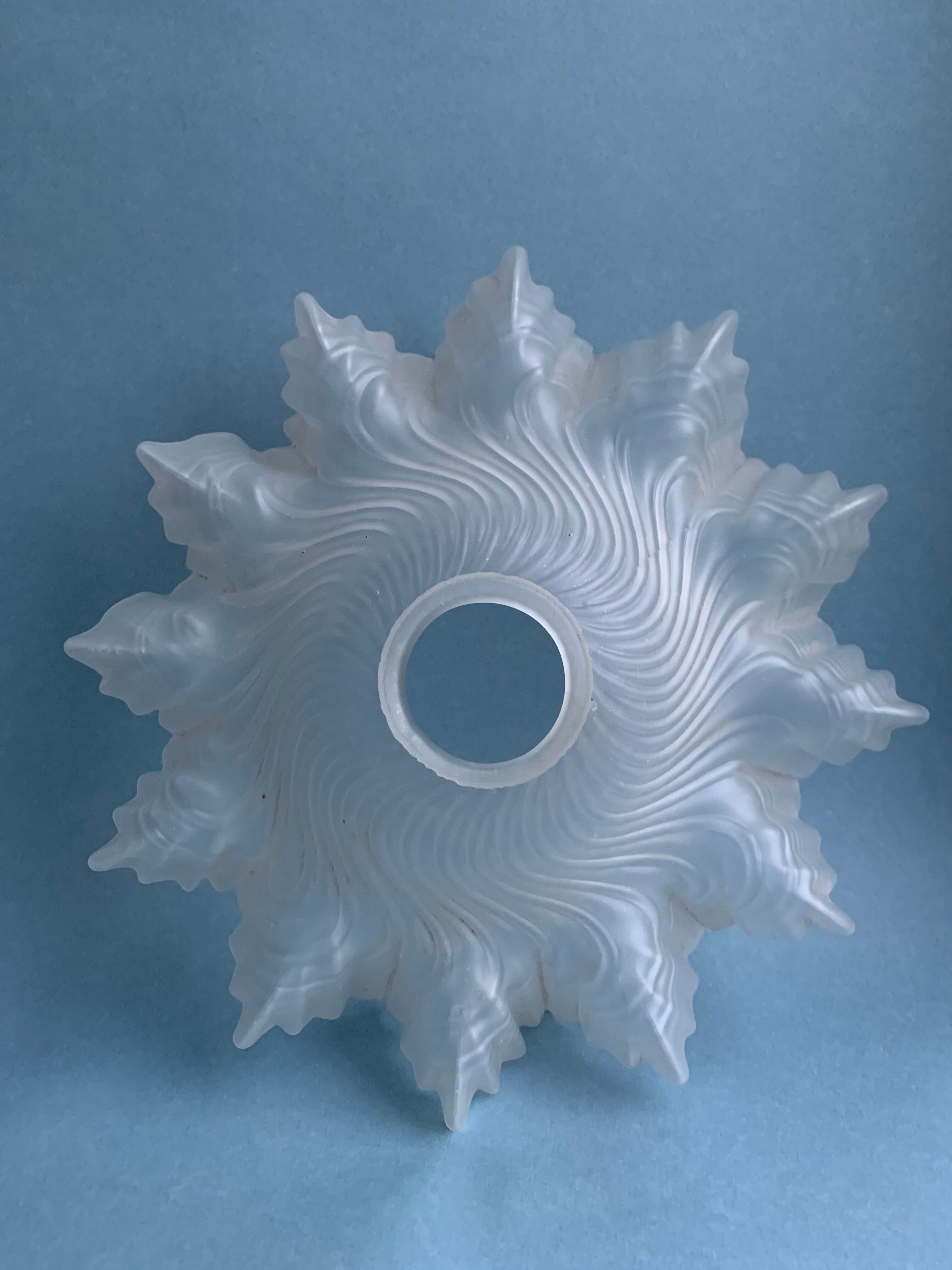 Dayglass pressed for suspension