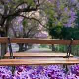 Public garden bench in the city of Paris