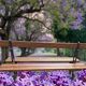 Banc de jardin public de la ville de Paris