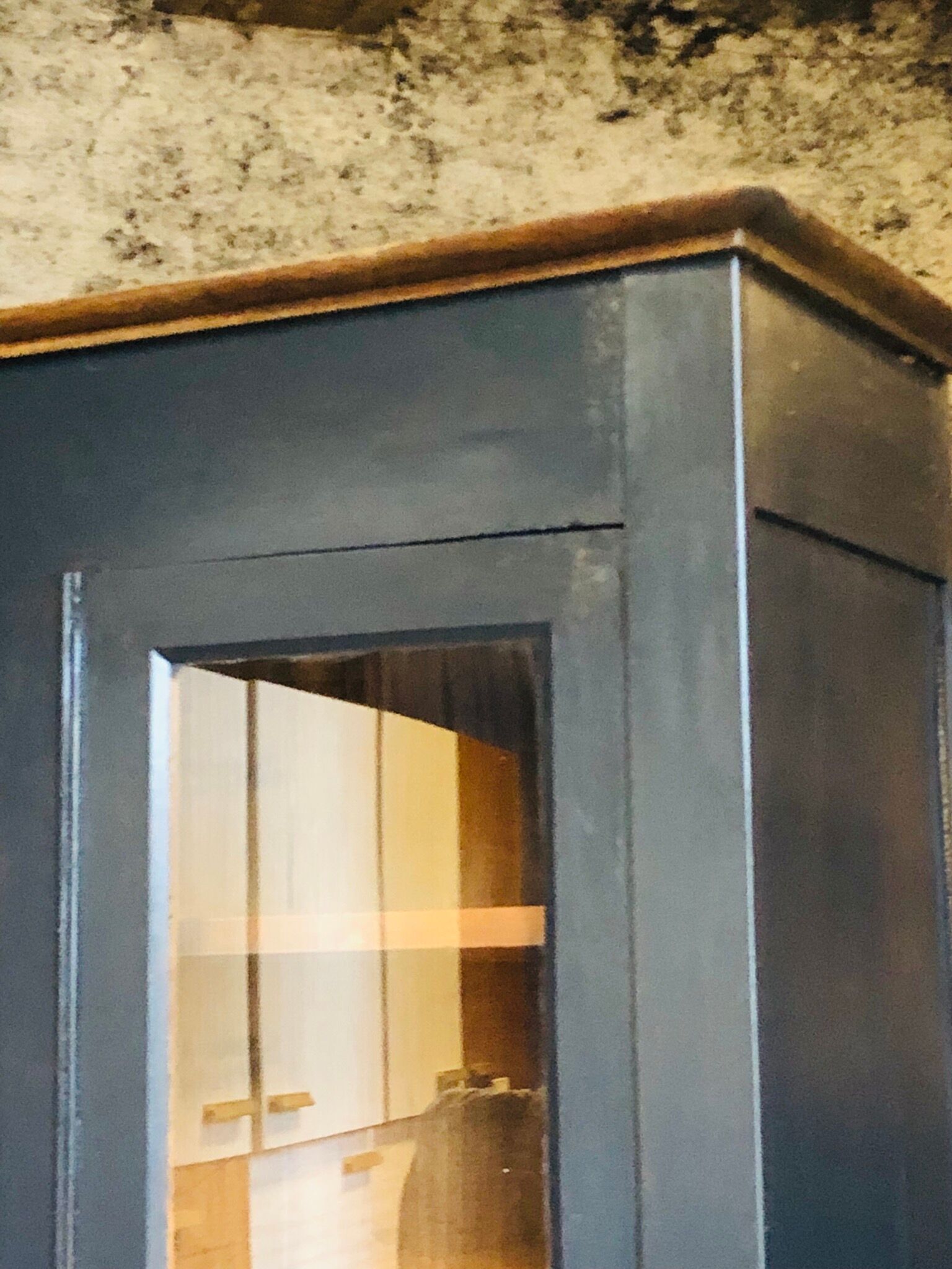 Showcase Cabinet / library