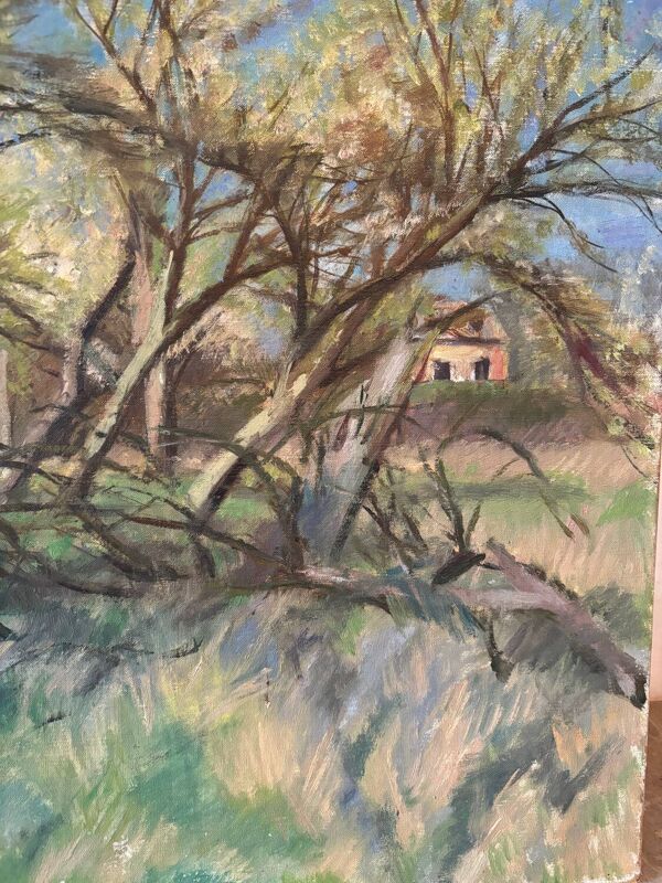 Paysage de forêt signé Taquoy