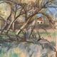 Forest landscape signed Taquoy