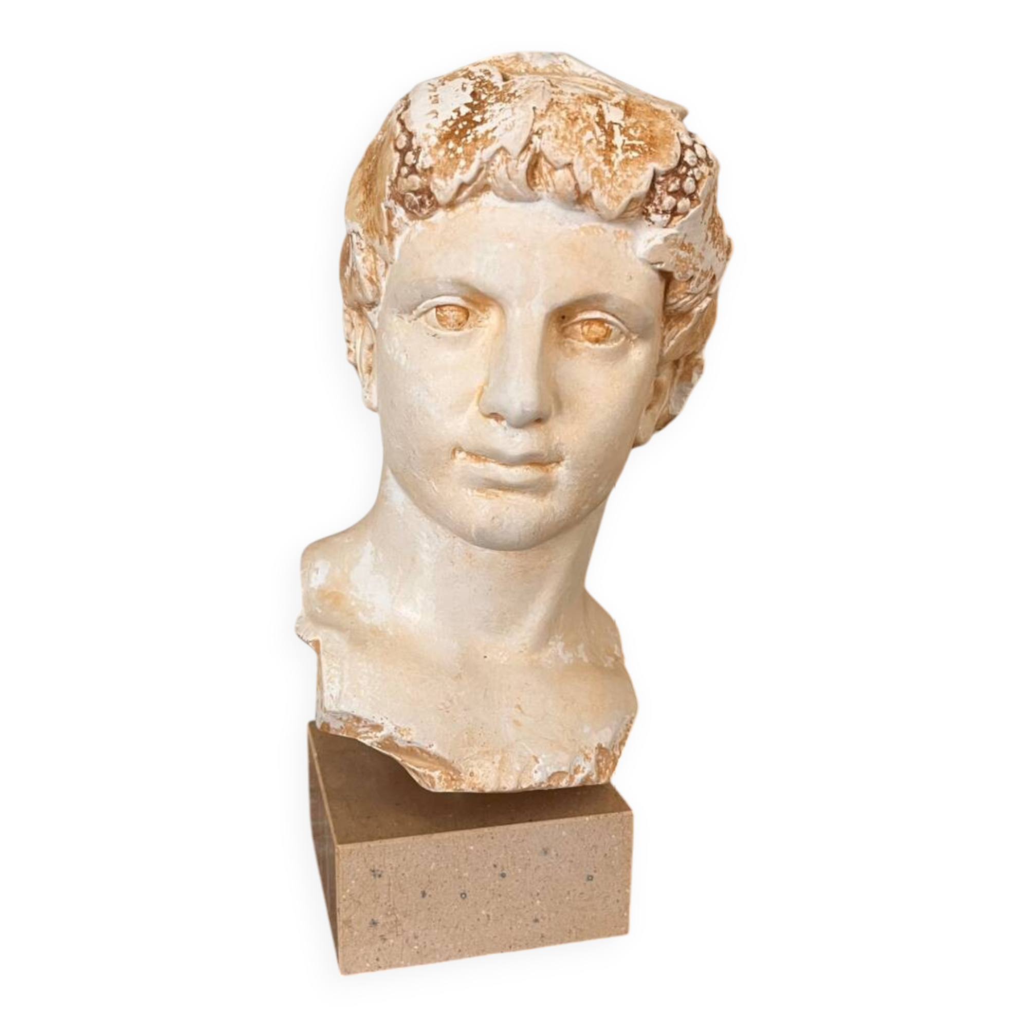 Dionysius plaster bust