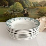 10 earthenware soup plates "Cahors" Saint Amand