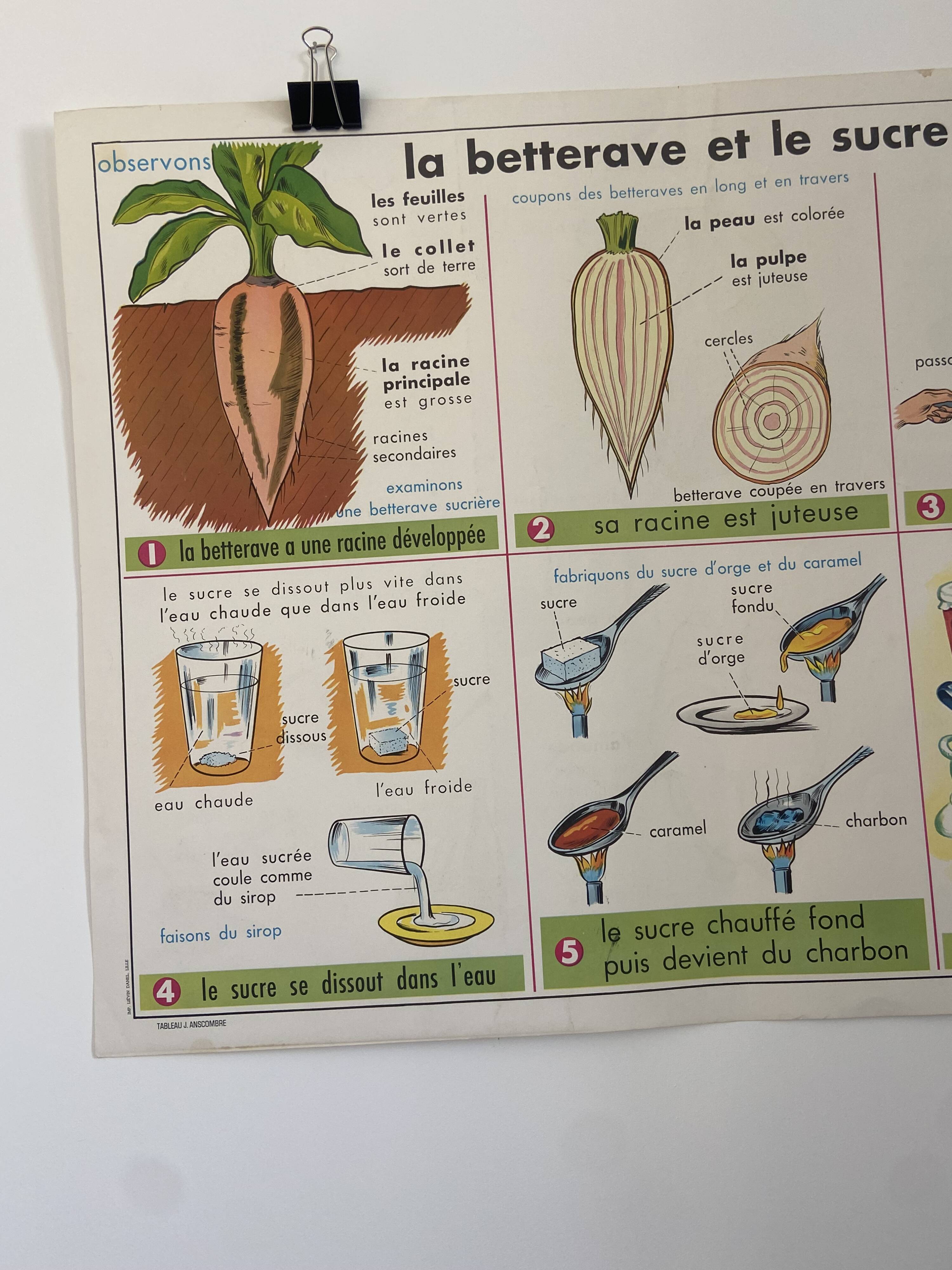 Vintage educational poster