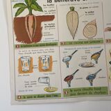 Vintage educational poster