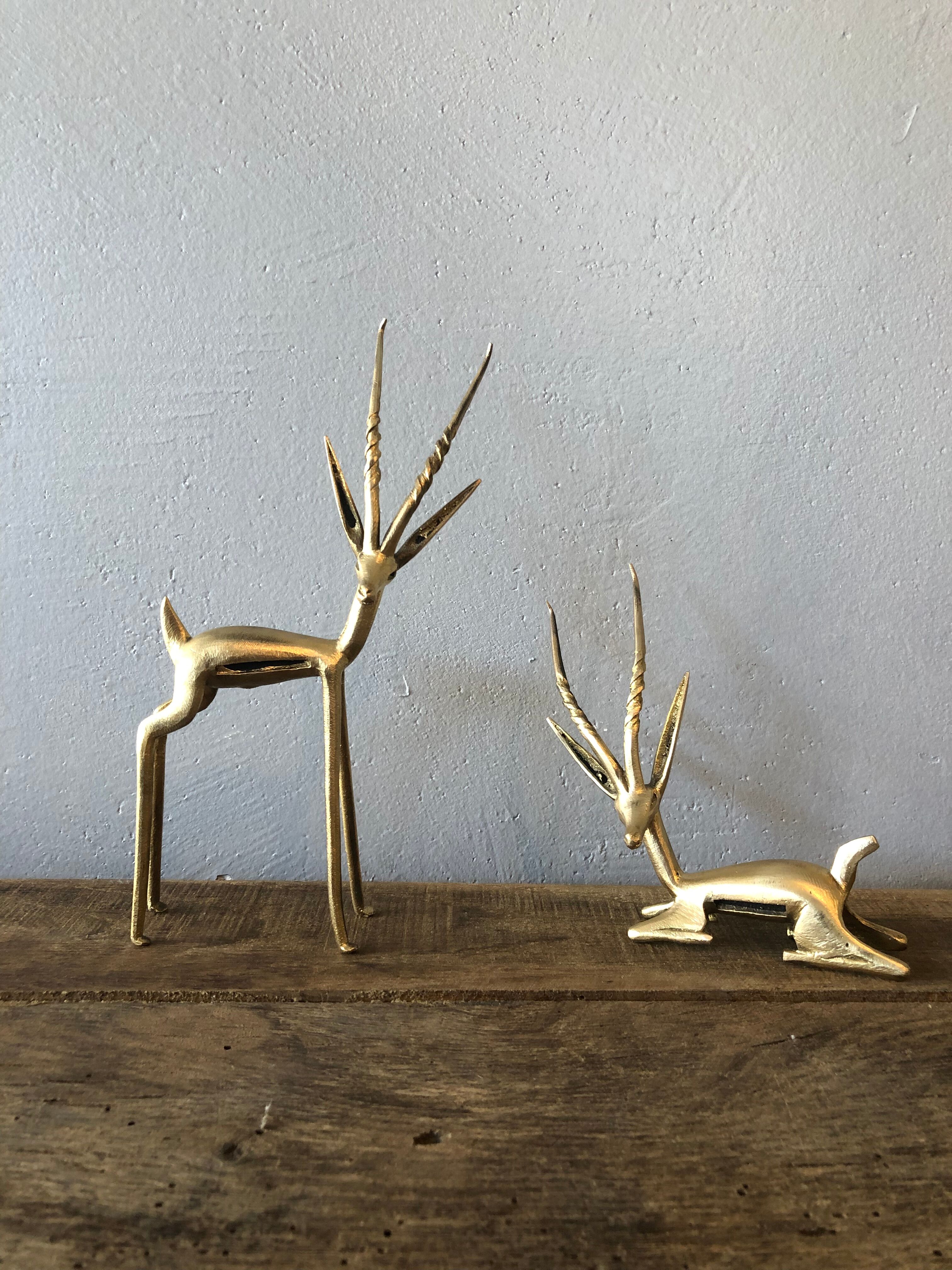 Two golden animal subjects