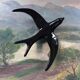 Ceramic swallow