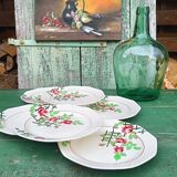 Iron earth dessert plates