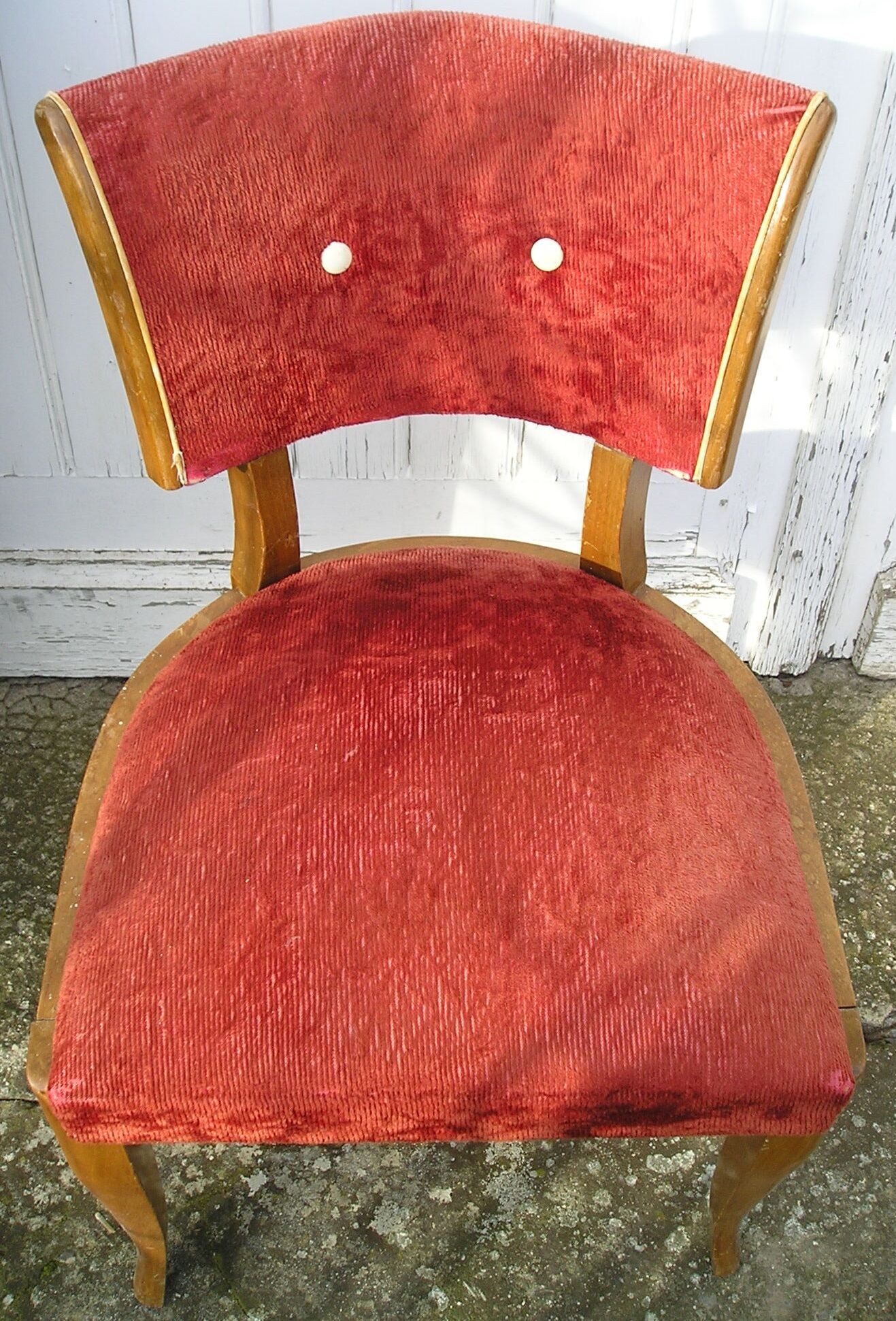 Paire de chaises en bois des années 50