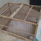 Old bird cage 1900