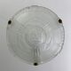 Hanging chandelier glass cacker preseated floral decoration art deco Artistar style