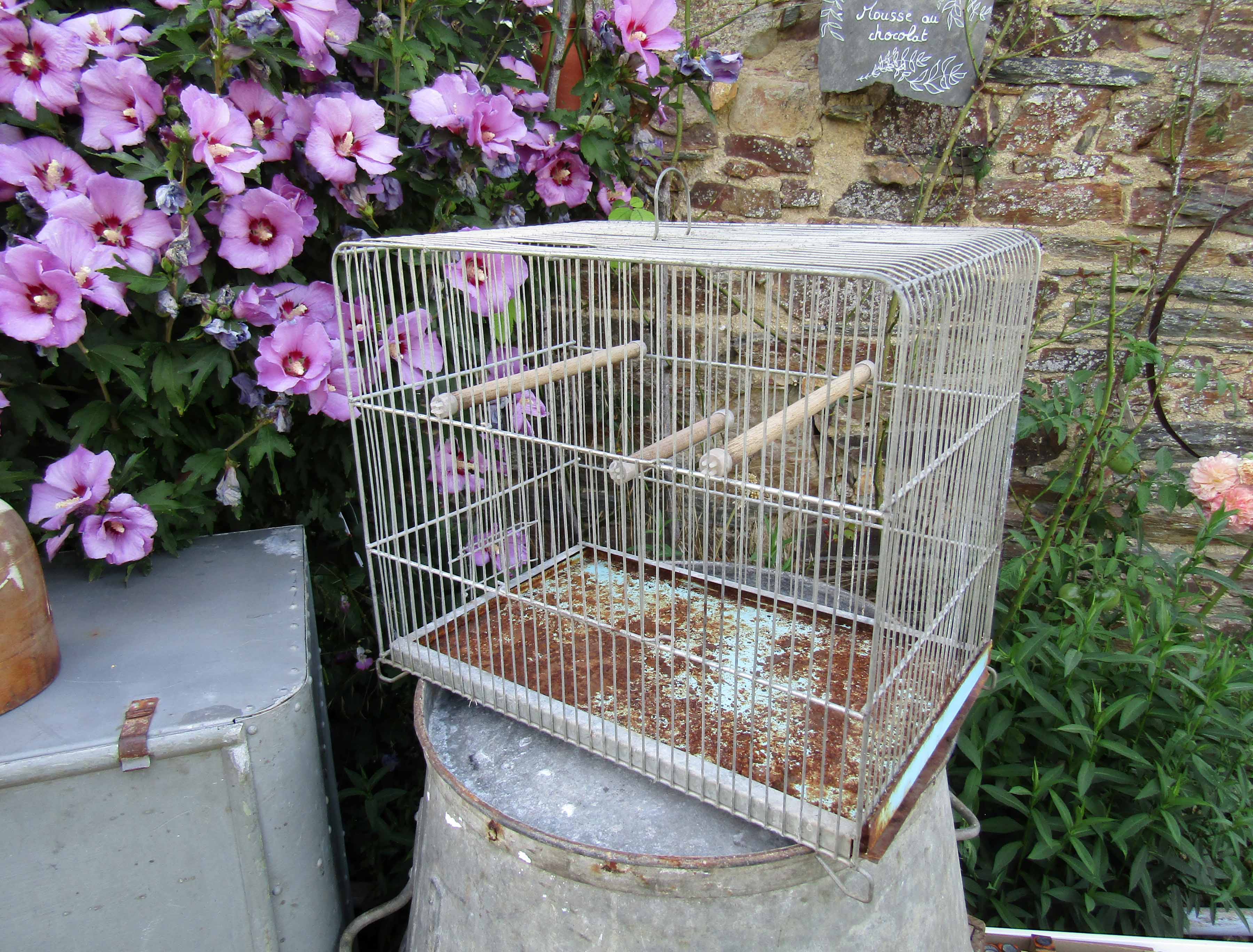 Old vintage mint green bird cage