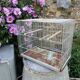 Old vintage mint green bird cage