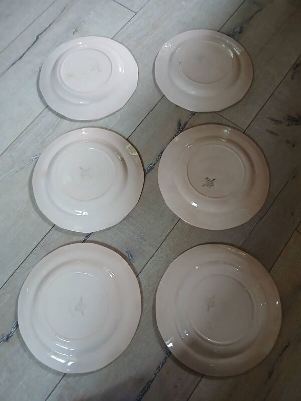 6 assiettes plates anciennes Digoin et Sarreguemines
