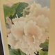Poster "Begonia" – Bukovnik – Dryden Gallery, New York – 1988