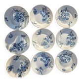 Antique 19th century plate, Terre de Fuego, blue with bird motif