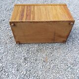 Trunk