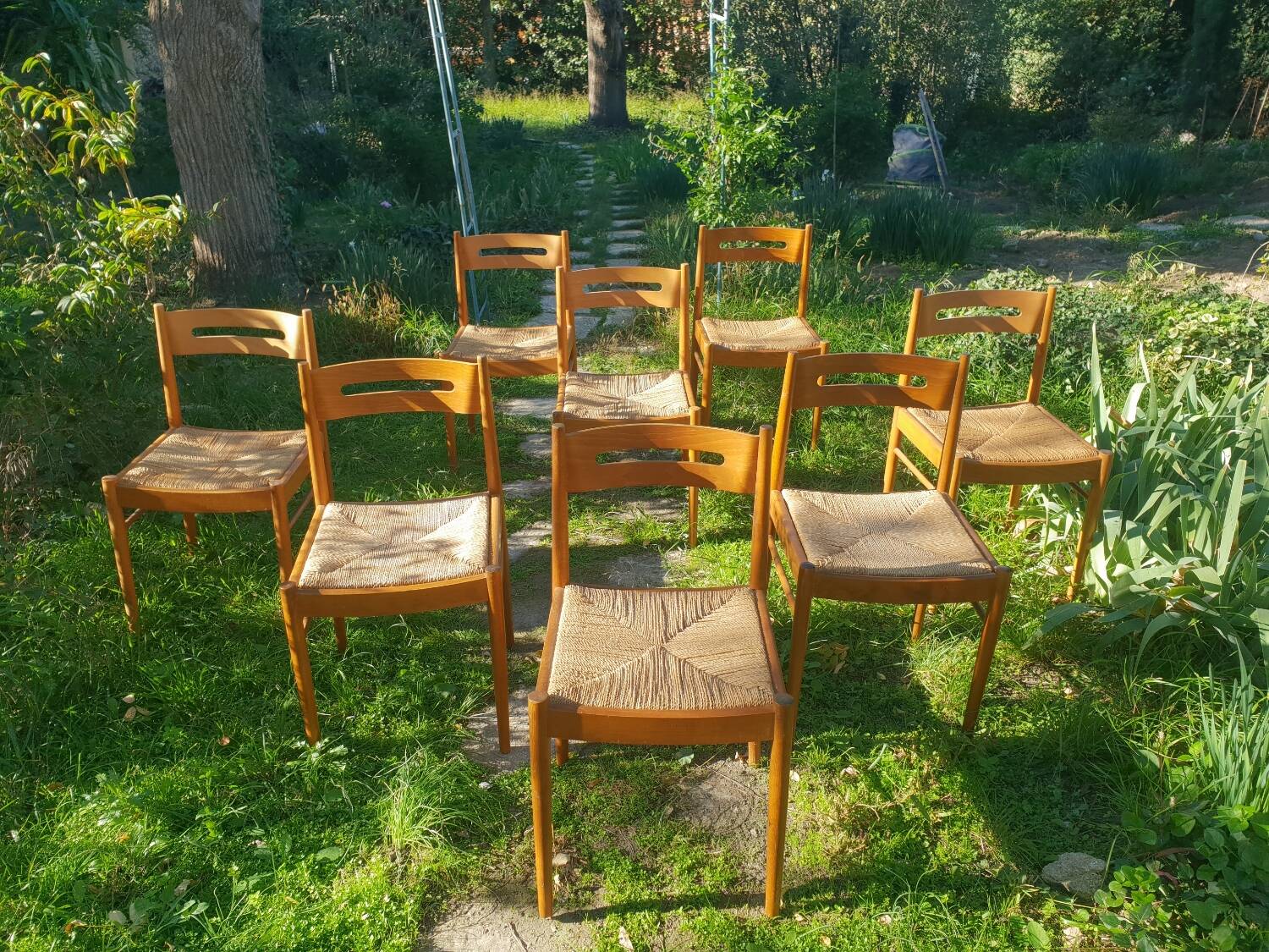 Série de 8 chaises italie 1970