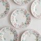 Set of 6 dessert plates Churchill, briar rose
