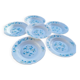 6 vintage hollow plate arcopal model veronica decor myosotis