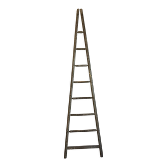 Old wooden ladder