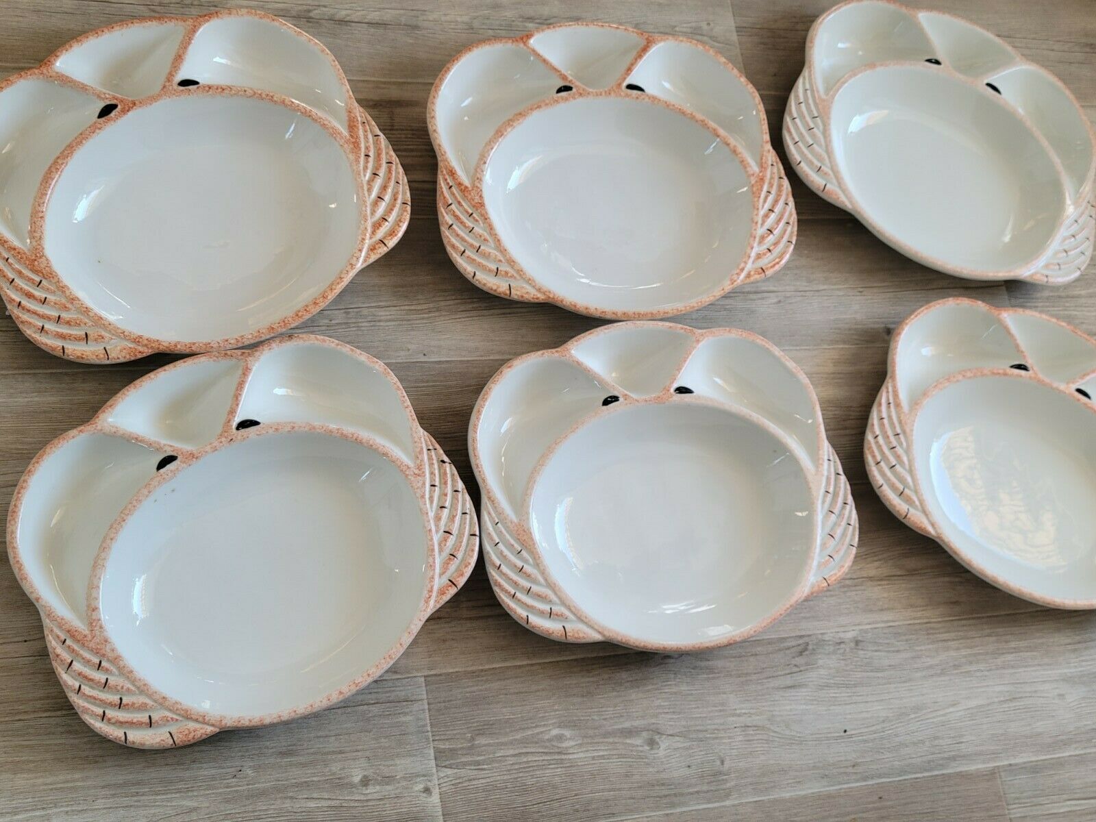 6 compartmentalized plates form crustacean crab