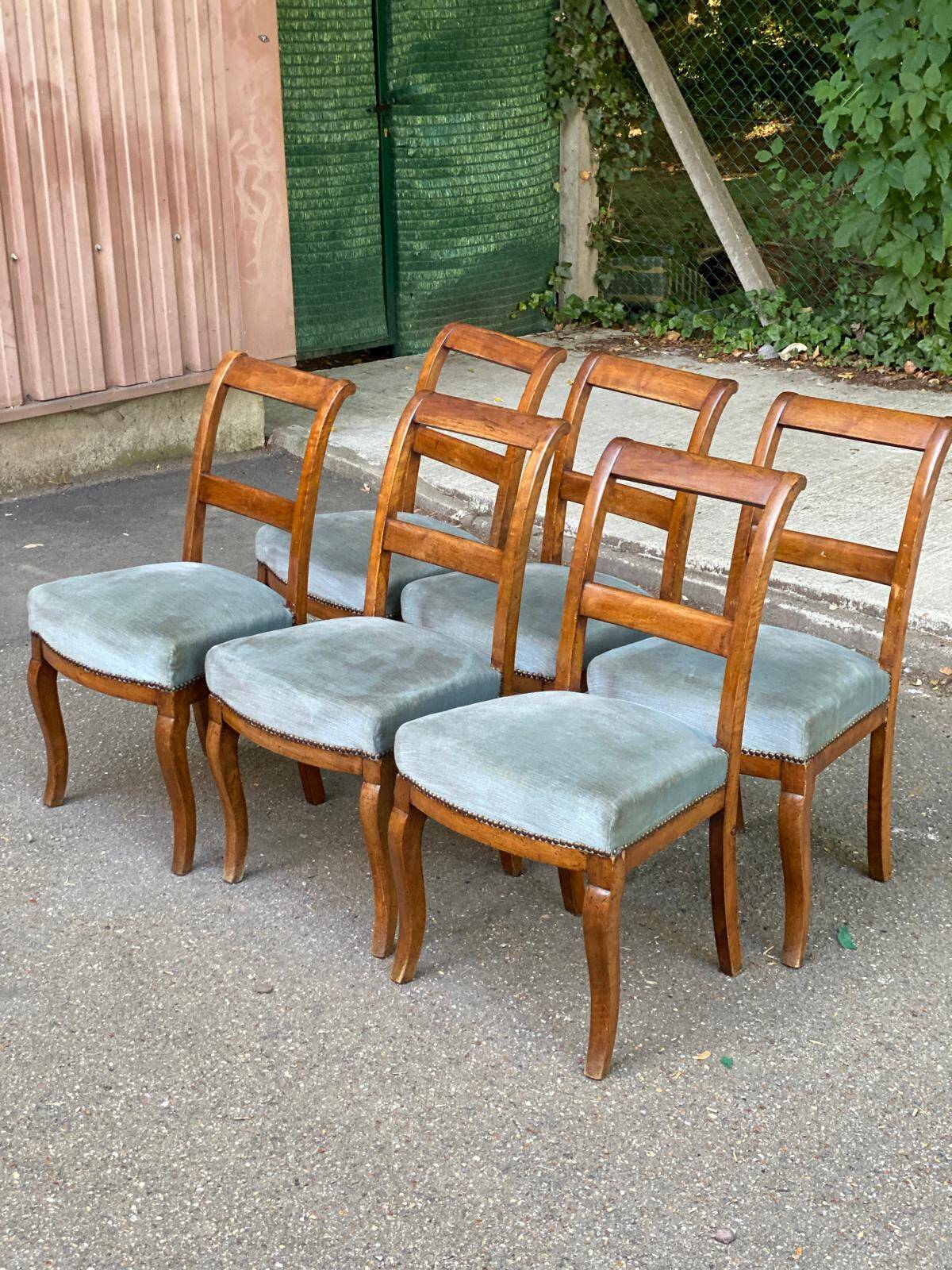 6 Biedermeier chairs in solid walnut and blue velvet, 1840