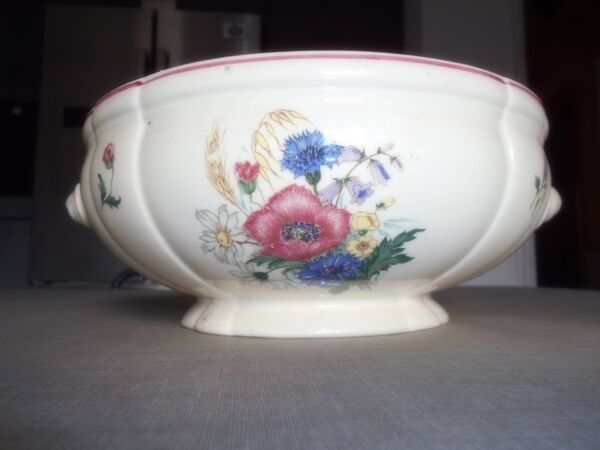 Saladier fleuri digoin sarguemines