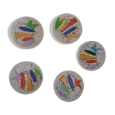 Enamelled plates