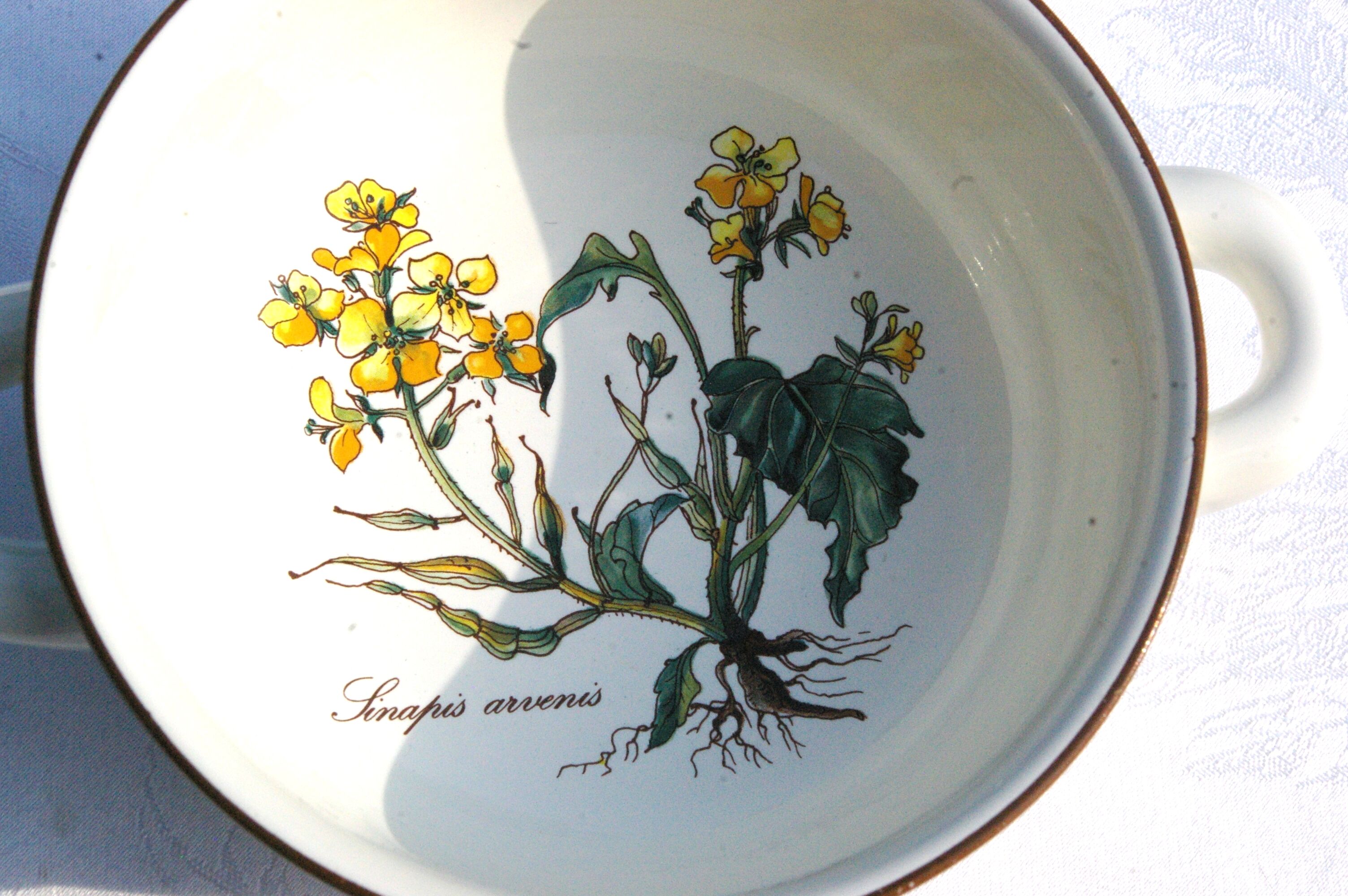 Small Batch of dishes and saucer Villeroy & Boch model Botanica