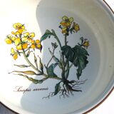 Small Batch of dishes and saucer Villeroy & Boch model Botanica