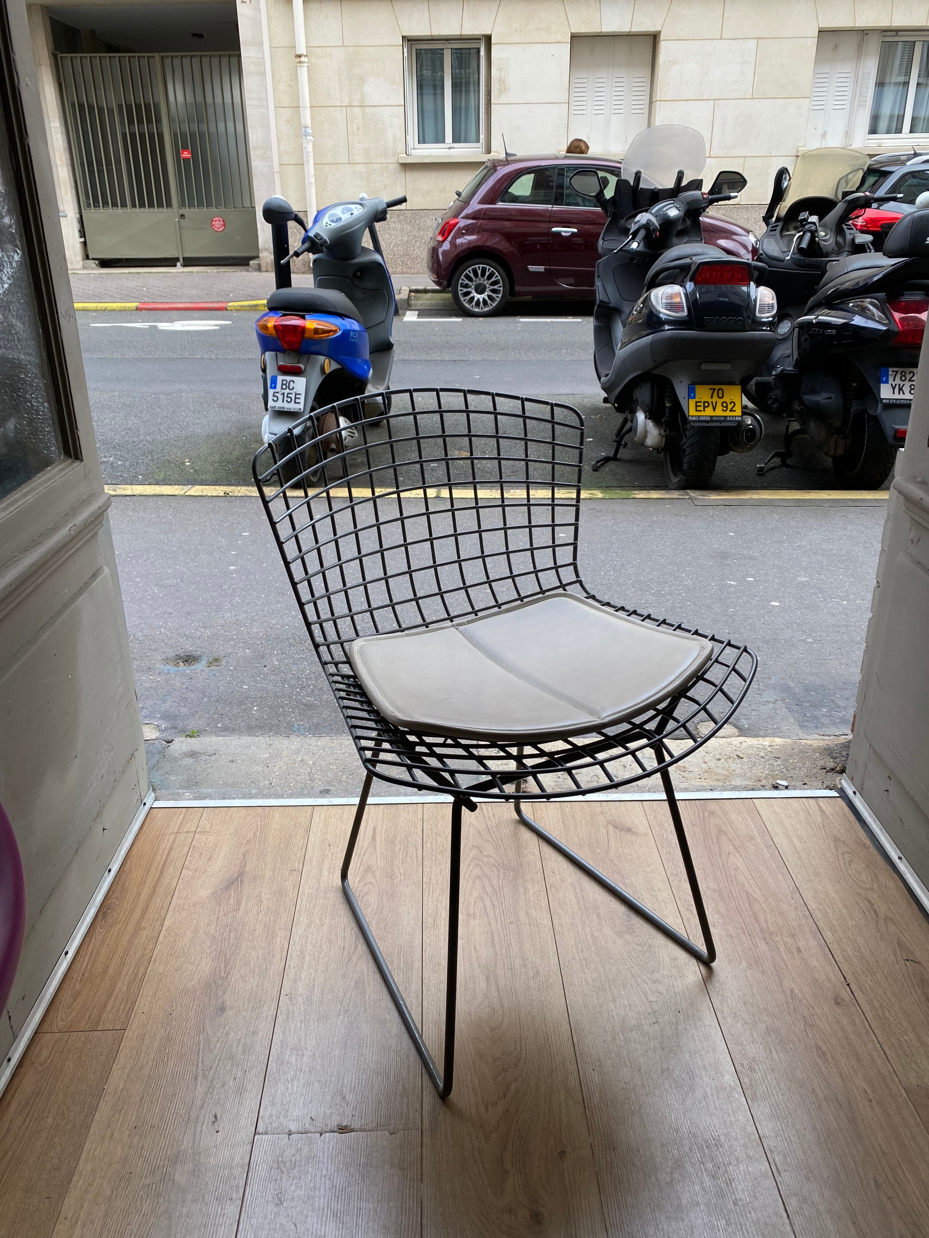 Chair Bertoia Rislan gray edition Knoll with white cake year 80