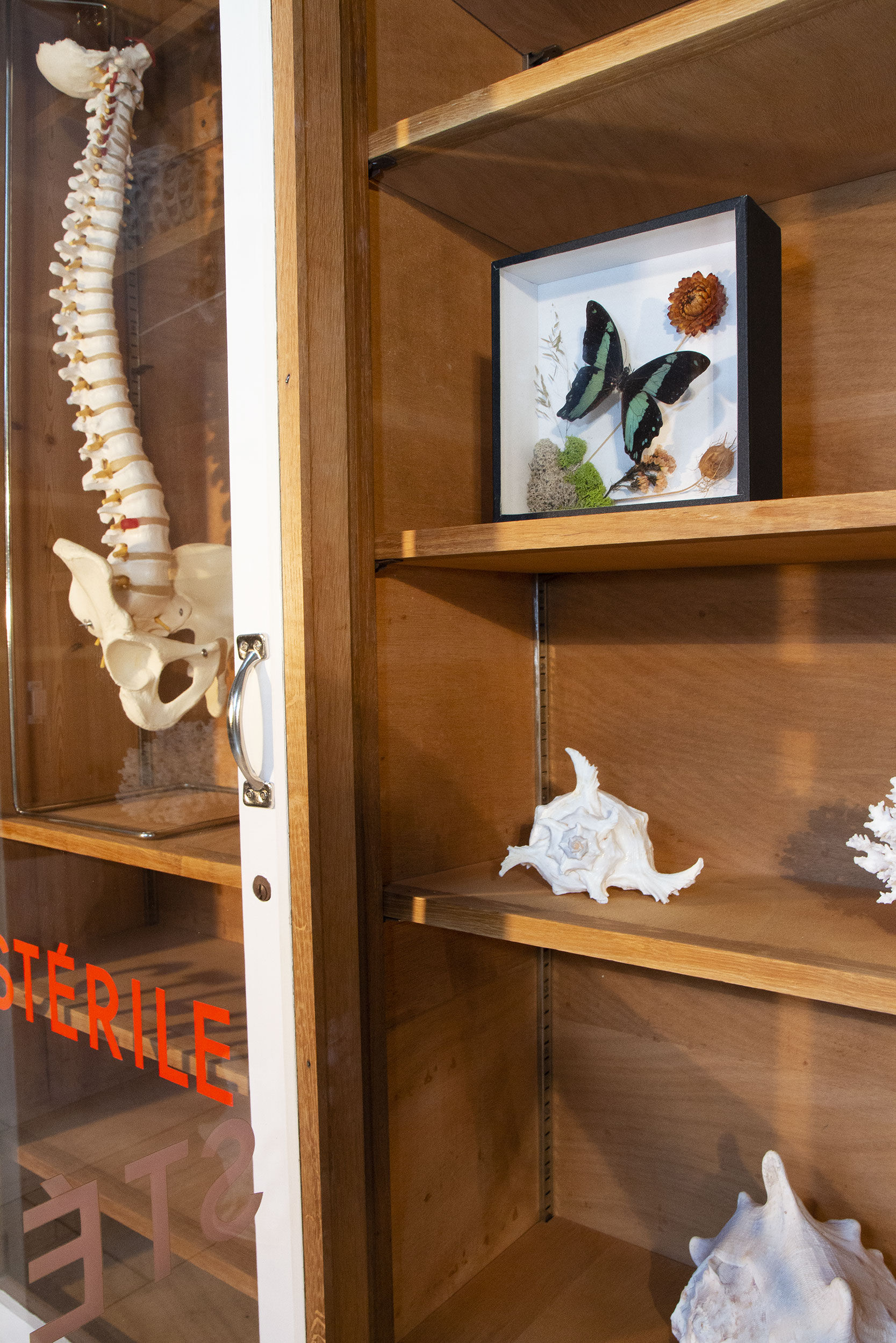 Old pharmacy showcase
