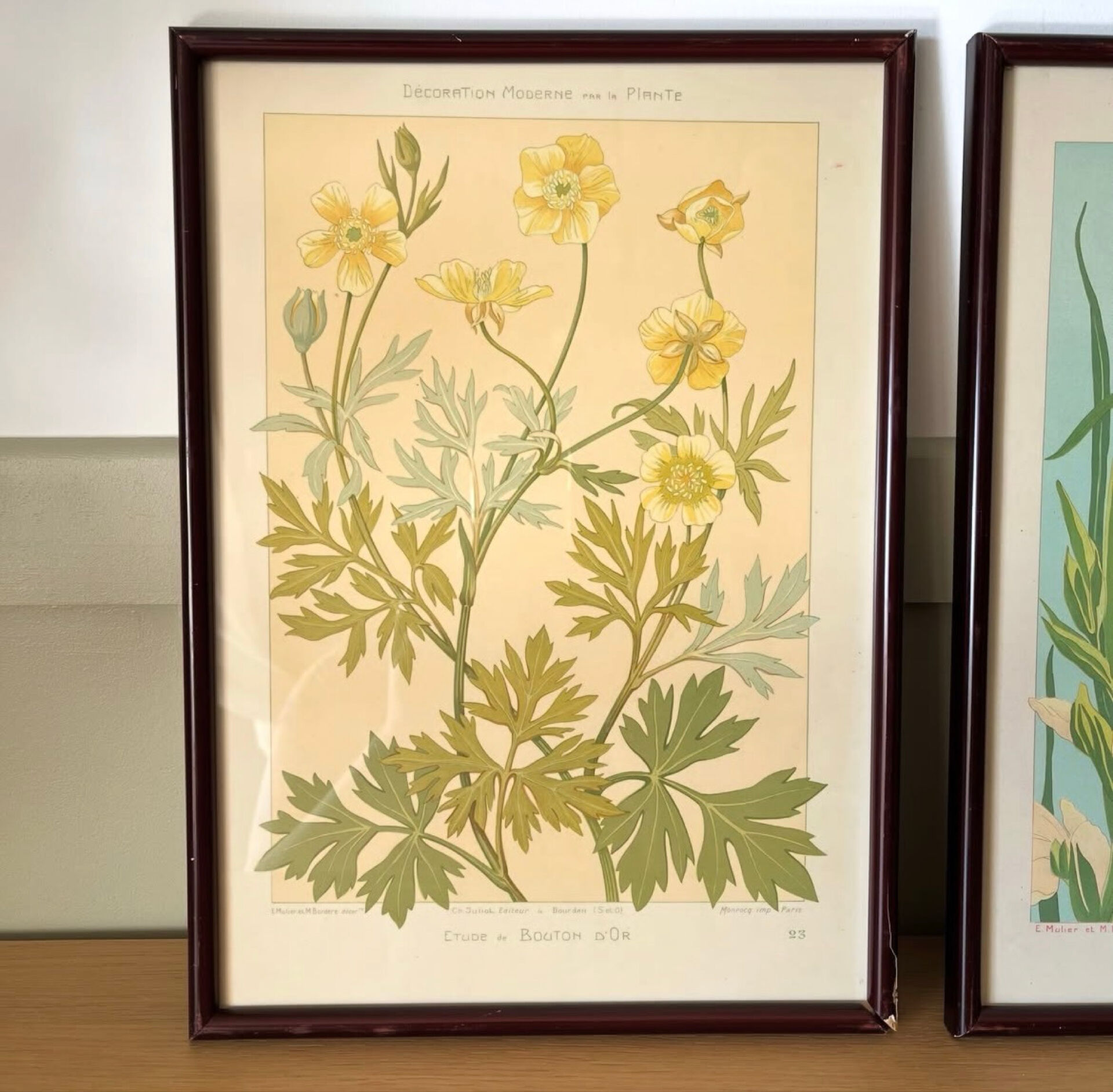 4 floral lithographs 1900