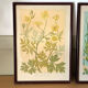 4 floral lithographs 1900