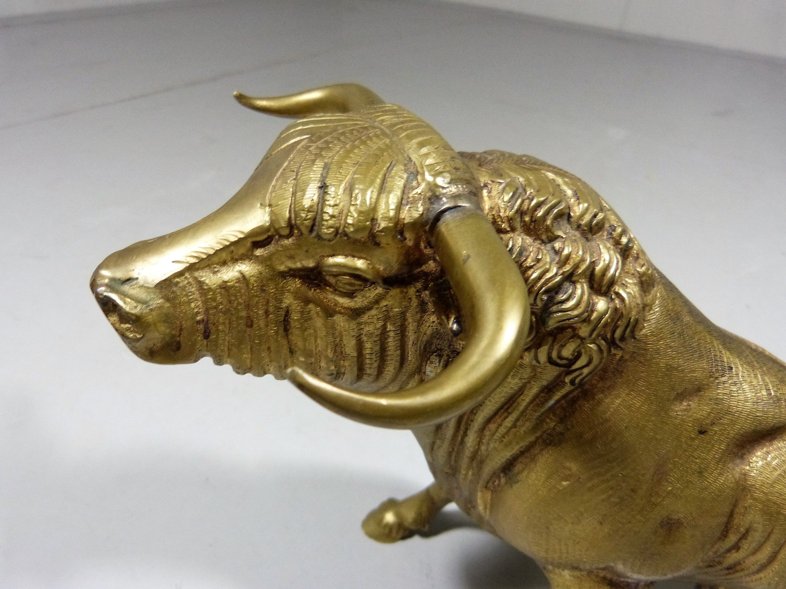 Brass Bull